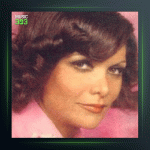 آهنگ در پناه شب از گیتی پاشایی