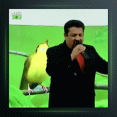 آهنگ غافله گل از سعید خوانساری