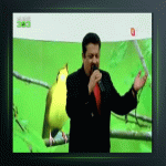 آهنگ نوبهار شکفتن از سعید خوانساری