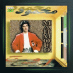 آهنگ چرا عاشق شدم از محمود قربانی