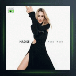 آهنگ Hay Hay از حادیثه