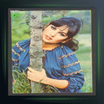 آهنگ Kardelen از سزن آکسو