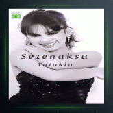 آهنگ Keskin Bicak از سزن آکسو