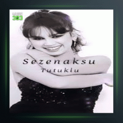 آهنگ Keskin Bicak از سزن آکسو