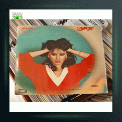 آهنگ Oyalanma از سزن آکسو