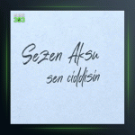 آهنگ Sen Ciddisin از سزن آکسو