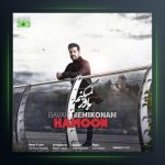 آهنگ باور نمیکنم از هامون