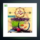 آهنگ تحویل سال از پرهام ابراهیمی