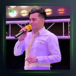 آهنگ تفنگ از احسان علیانی