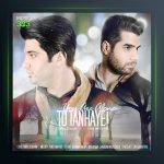 آهنگ تو تنهایی از شاهین جمشیدپور و فریبرز خاتمی