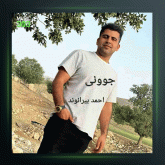 آهنگ جوونی از احمد بیرانوند