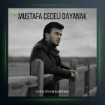 آهنگ دایاناک از مصطفی ججلی