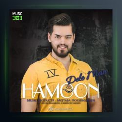 آهنگ دل من از هامون