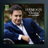 آهنگ دلدار از هامون