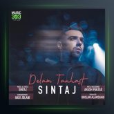 آهنگ دلم تنهاست از سینتاج