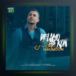 آهنگ دلمو آب کن از هامون