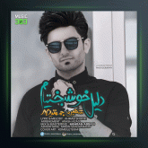 آهنگ دلیل خوشبختیم از شاهین جمشیدپور