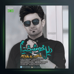 آهنگ دلیل خوشبختیم از شاهین جمشیدپور