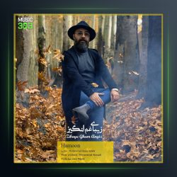 آهنگ زیبای غم انگیز از هامون