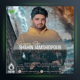 د آهنگ سوگینین سسی از شاهین جمشیدپور