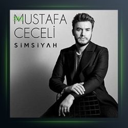 آهنگ سیم سیاه از مصطفی ججلی