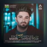 آهنگ عشق معناسی از شاهین جمشیدپور