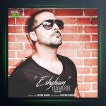 آهنگ عشقم از هامون