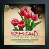 آهنگ لاله سوخته از پرهام ابراهیمی