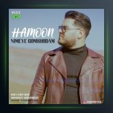 آهنگ نیمه گم شدم از هامون
