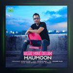 آهنگ واست میره دلم از هامون