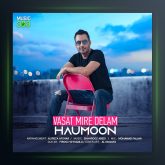 آهنگ واست میره دلم از هامون