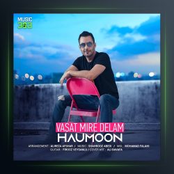 آهنگ واست میره دلم از هامون