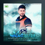 آهنگ چکنم از سعید محمدی