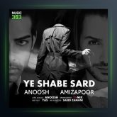 آهنگ یه شب سرد از انوش و امیزاپور