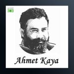 آهنگ Bir Minik Kiz Cocugu از احمد کایا