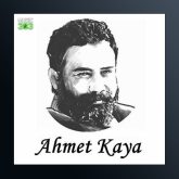 آهنگ Bir Minik Kiz Cocugu از احمد کایا