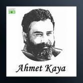 آهنگ Senin Derdindeyim از احمد کایا