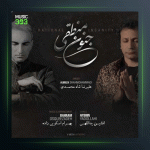 آهنگ جنون منطقی از علیرضا شاه محمدی