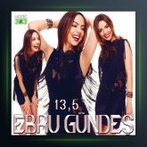 آلبوم 13,5 از ابرو گوندش