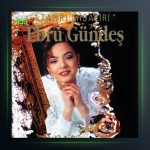 آلبوم Tanrı Misafiri از ابرو گوندش