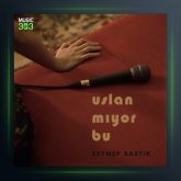 آهنگ Uslanmıyor Bu از زینب باستیک