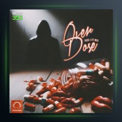 دانلود آهنگ اوردوز نیلی از پدی آی