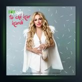 آهنگ تو چیکار کردی از نگین