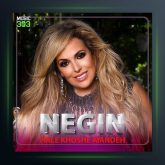 آهنگ حال خوش آینده از نگین