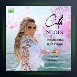 آهنگ دوست داره از نگین