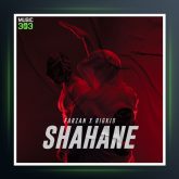 دانلود آهنگ شاهانه از فرزان