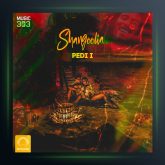 دانلود آهنگ شنگولیا از پدی آی