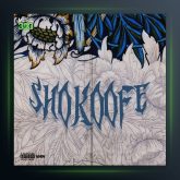 آهنگ شکوفه از وطن