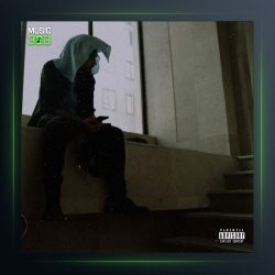 آهنگ عادی نی که برام از وطن