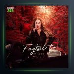 آهنگ فقط تو از نگین